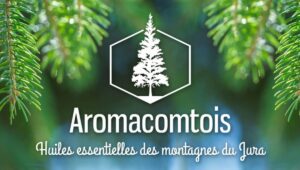 Massages Evénementiels Marie-Line Egron